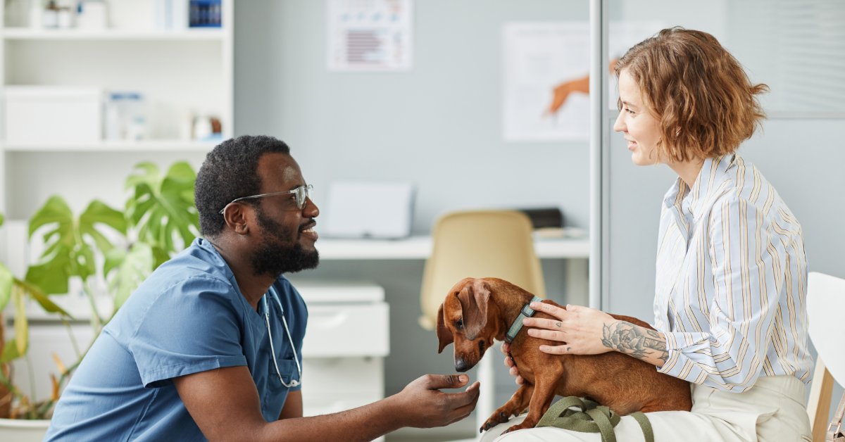 Choosing The Right Veterinarian For Your Pet